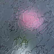 GADP-024 Frosted Delta