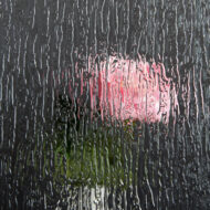 GADP-010 Rain Glass