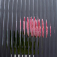 GADP-016 Wide Reeded