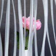 GADEP2-001 Ribbons