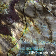 GADGO_4218_OpalizedAmmoniteMorocco