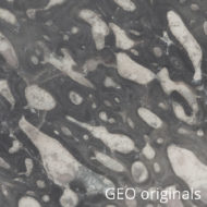 GADGO_4625_DinoBone